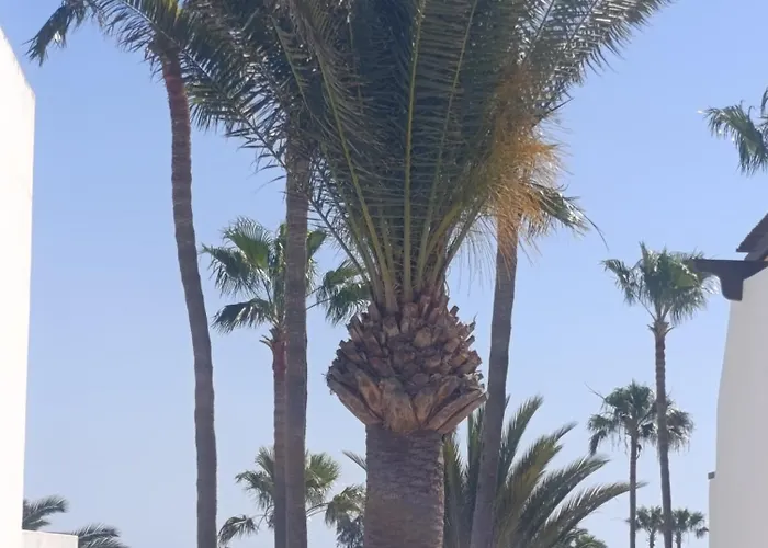 Blue Ocean Appartamento *